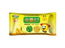 高产大豆种子中黄57