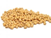 濉科998大豆种子