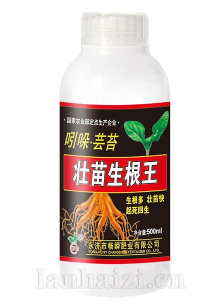 吲哚·芸苔壮苗生根王