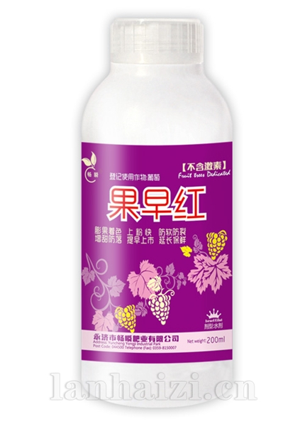 果早红