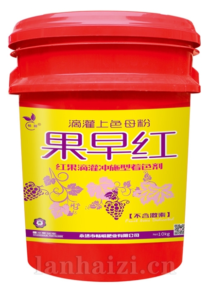 果早红桶