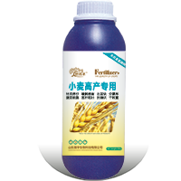 小麦高产专用