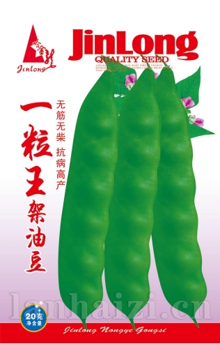 一粒王架油豆