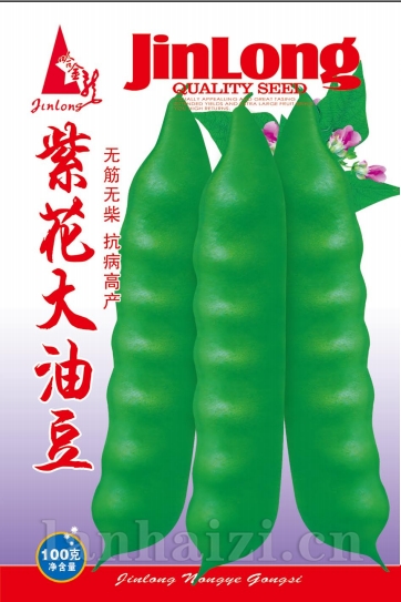 紫花大油豆