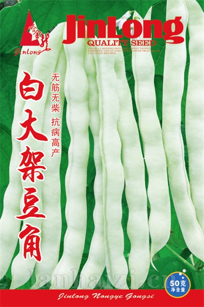 白大架豆角