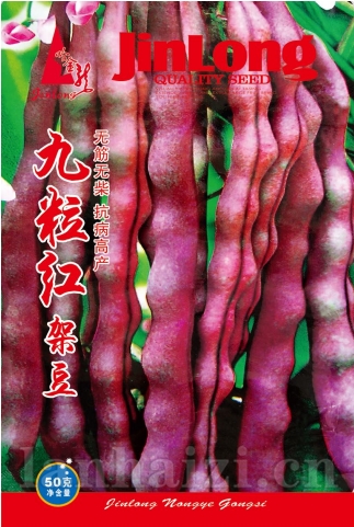 九粒红架豆
