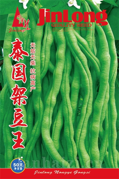泰国架豆王