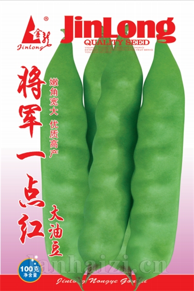 将军一点红