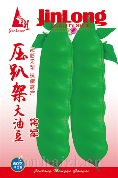 压趴架大油豆