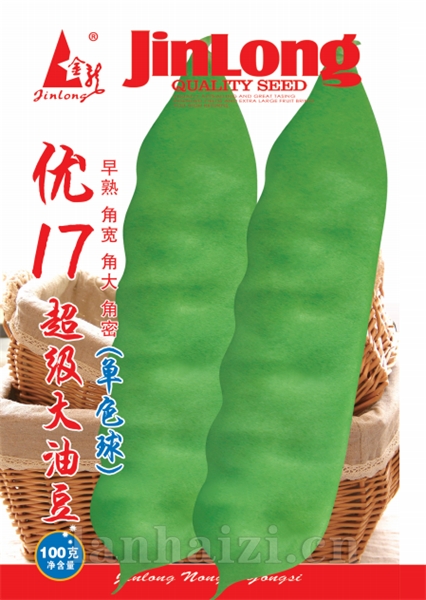 优17