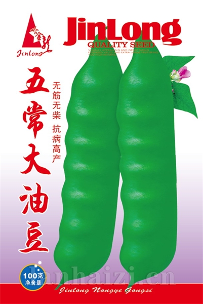 五常大油豆