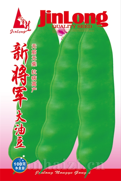 新将军大油豆