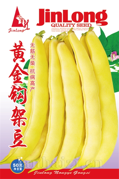 黄金钩架豆