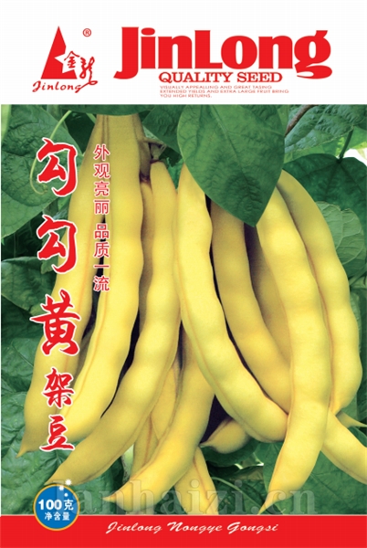 勾勾黄架豆