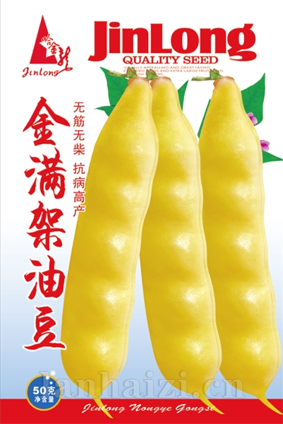 金满架油豆