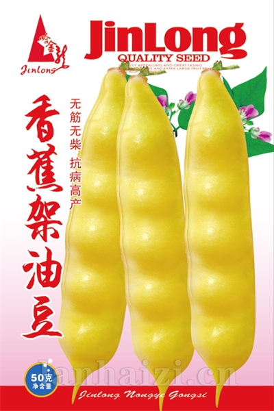 香蕉架油豆