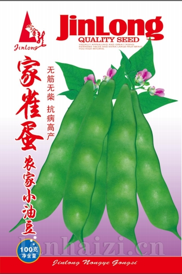 家雀蛋小油豆
