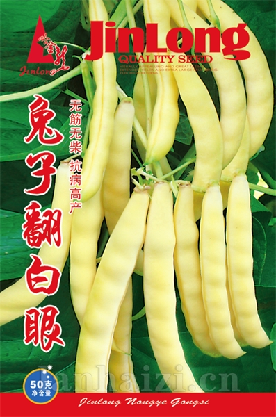 兔子翻白眼