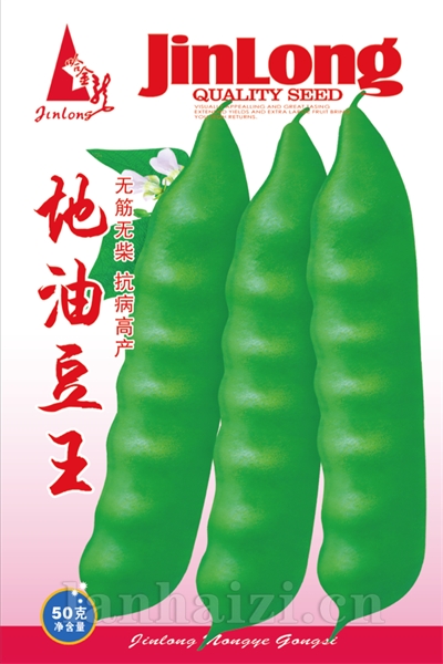 地油豆王