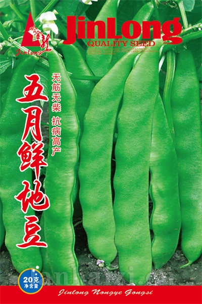 五月鲜地豆