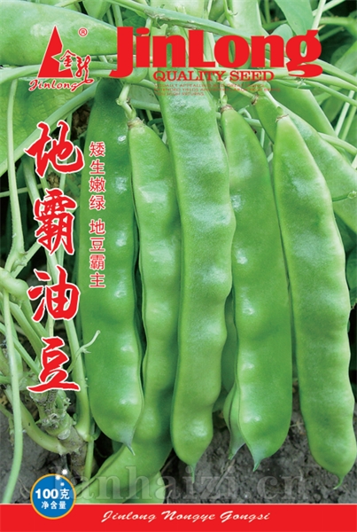 地霸油豆