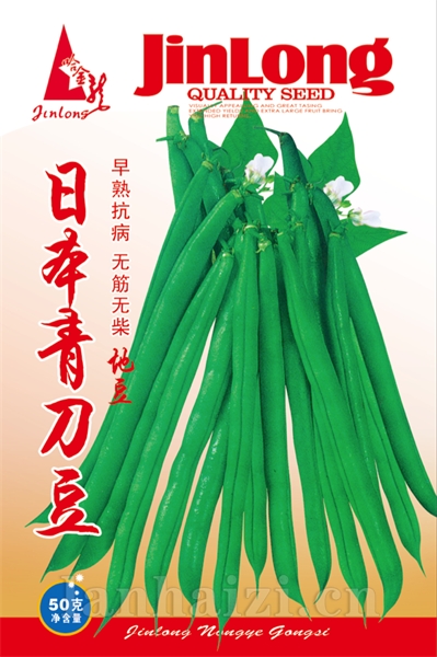 日本青刀豆