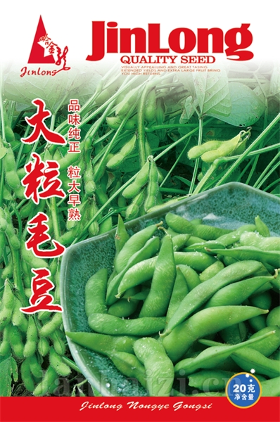 大粒毛豆