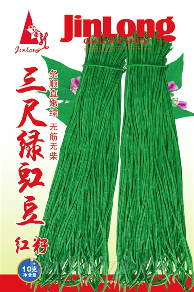 三尺绿豇豆