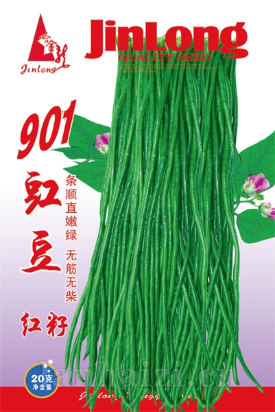 901豇豆