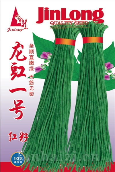 龙豇一号