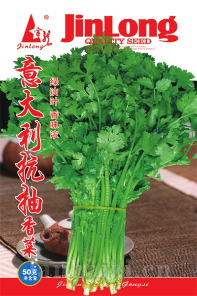 意大利抗抽香菜