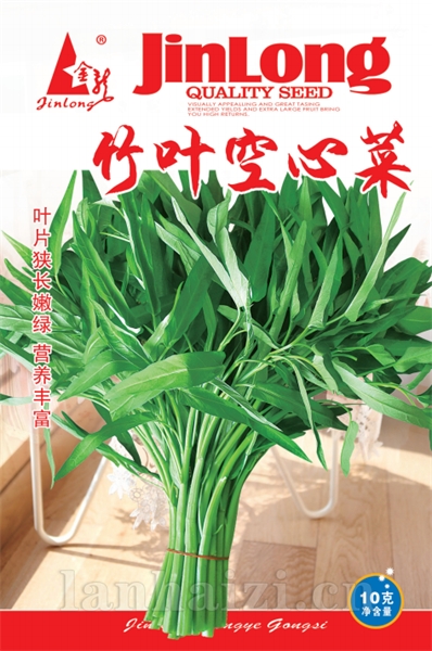 竹叶空心菜