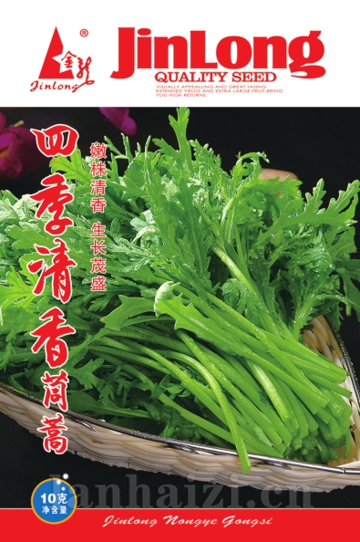 四季清香茼蒿
