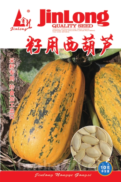 籽用西葫芦