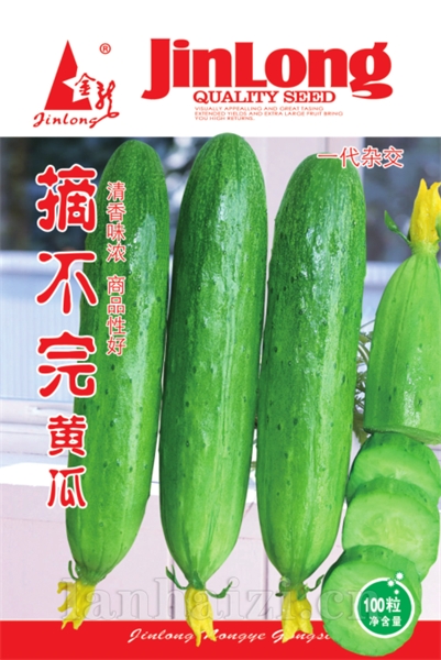 节节瓜黄瓜