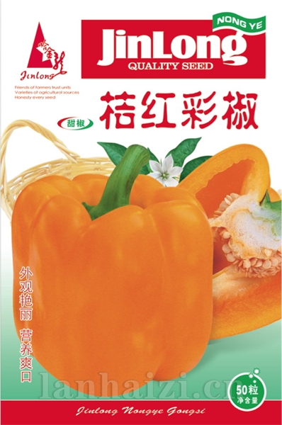 桔红彩椒