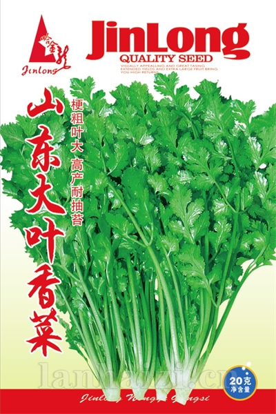 小叶茴香