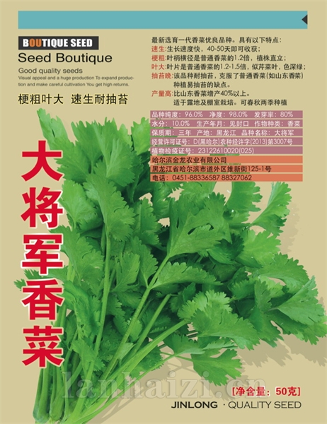 四季小白菜