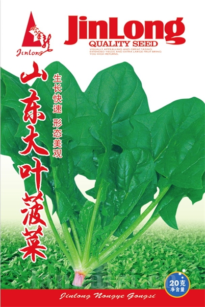 速生小白菜