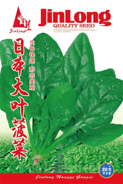 油绿小白菜