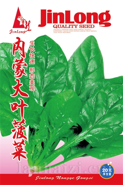 饭包白菜
