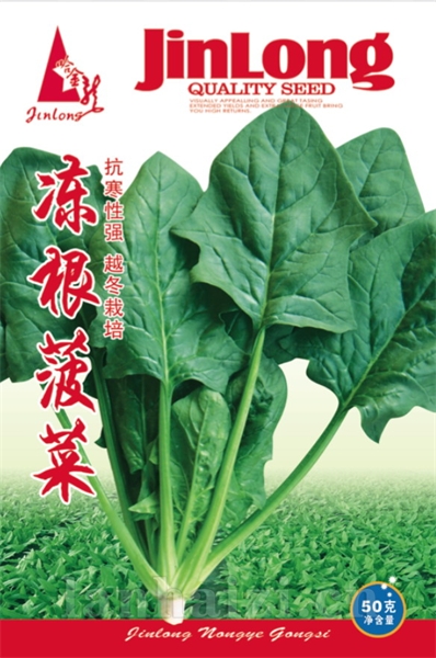 冻根菠菜