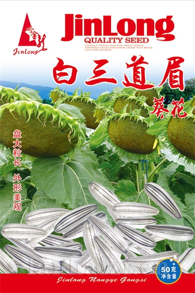 白三道眉葵花