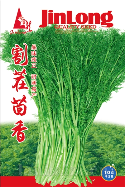 割茬茴香