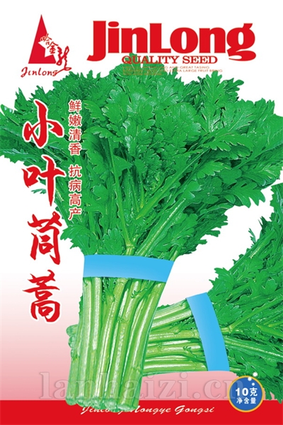  小叶茼蒿