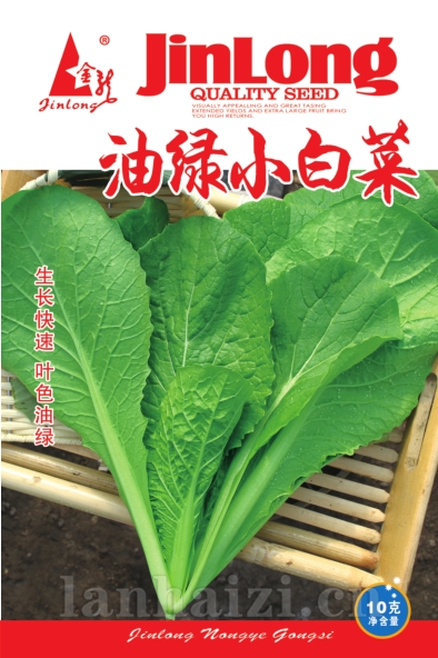 油绿小白菜