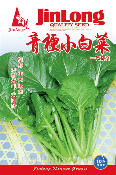 青梗小白菜