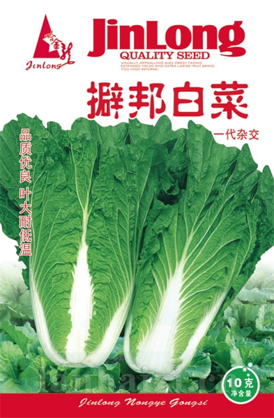 擗邦白菜