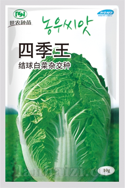 四季王