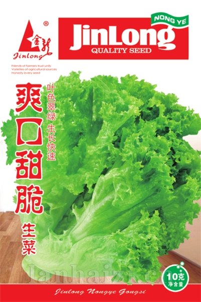 爽口甜脆生菜